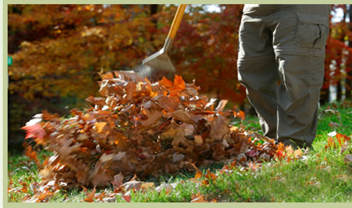 leaves_garden_clearances_birmingham